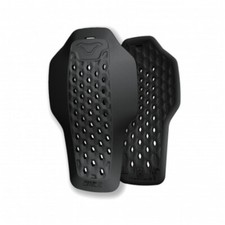 PARASCHIENA MACNA R.I.S.C