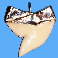 Ciondolo Argento Dente Squalo