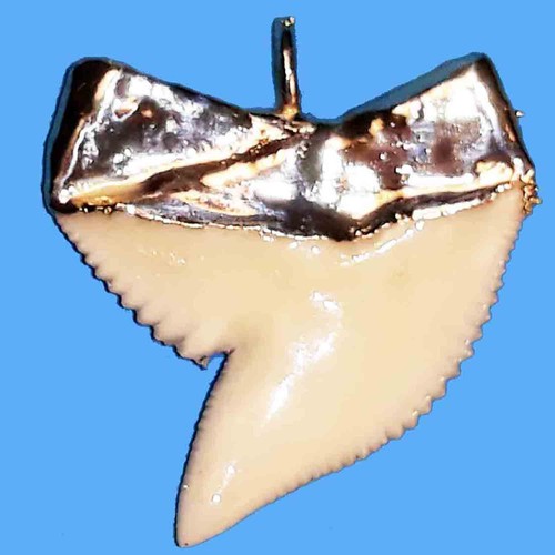 Ciondolo argento dente squalo - ciondolo,