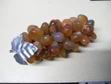 Uva vino vite foglia - uva,