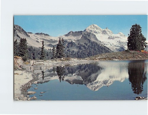 Cartolina testa diamante - cartolina,