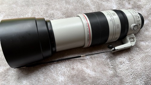 Obiettivo canon 100 - canon, ef