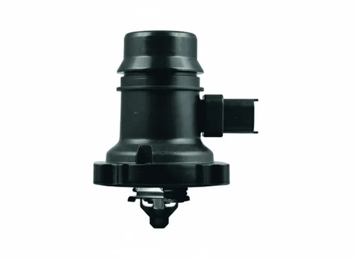 Termostato mahle per - 37,