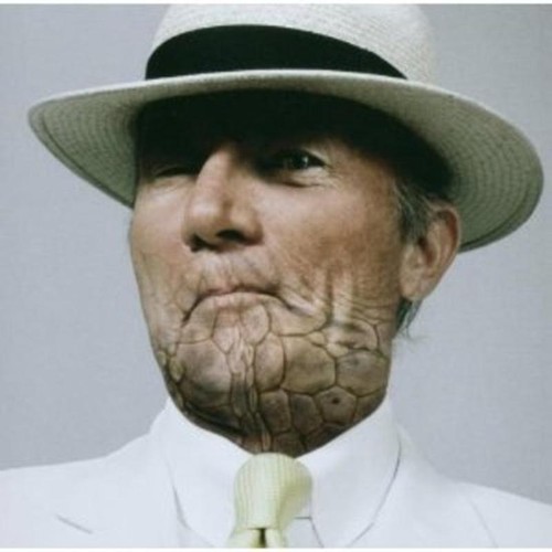 Austen louie iguana - cd, neu