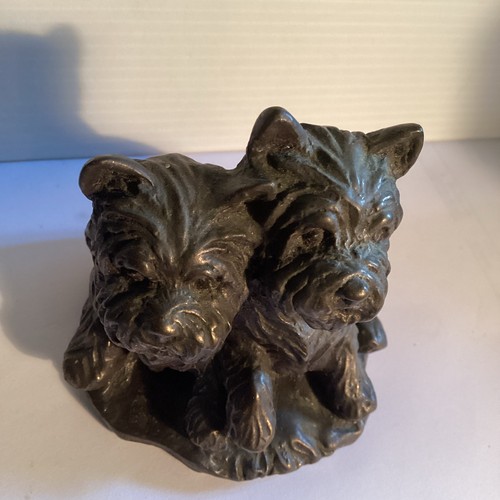 Statuina westie puppies - westie,