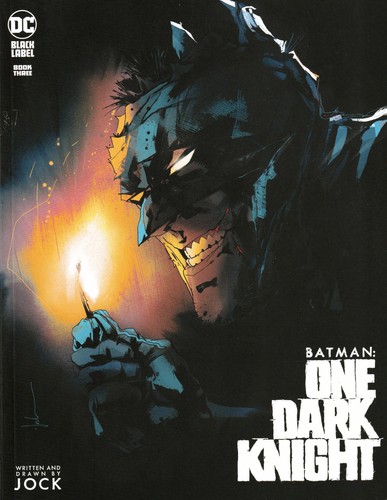 Batman one dark knight - batman,