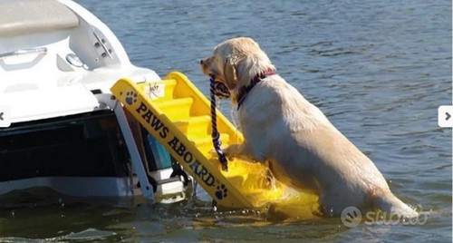 Paws aboard scaletta per - paws,