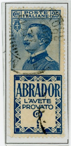 Italia regno 1924 - regno, 1924-25