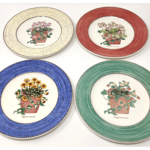 Set piatti dessert - set,