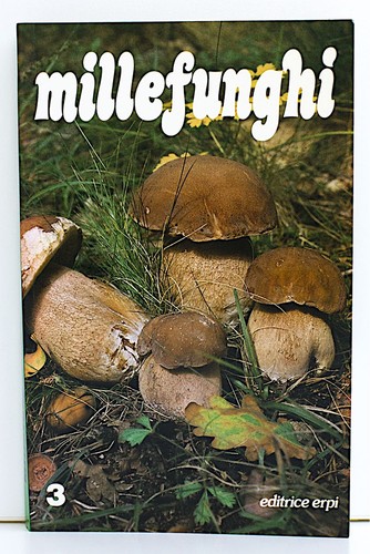 Libro illustrato millefunghi - libro,