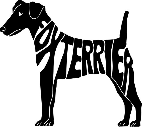 Foxterrier - foxterrier, lisci)