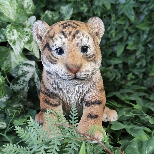 Vivid arts tiger cub - vivid, pal
