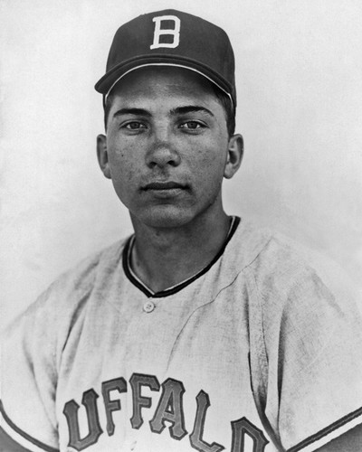 Buffalo bisonte johnny bench - bisonte,
