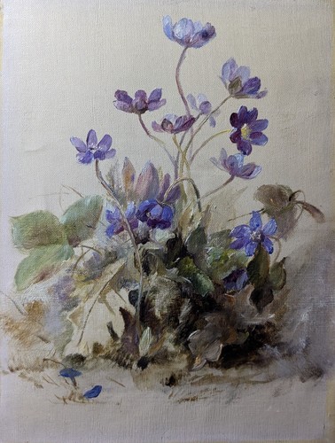 Fegato fiori olio su - su, lino