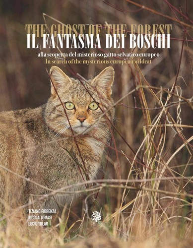 Fantasma dei boschi alla - fantasma,