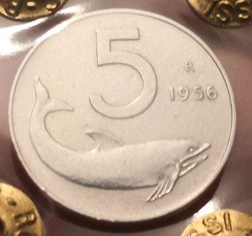 Moneta lire 1956 - 5,