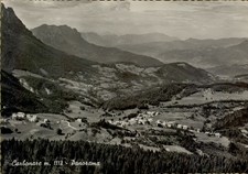 301691 CARTOLINA DI CARBONARE