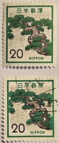 Giappone 1971 pino bonsai 1 - giappone,