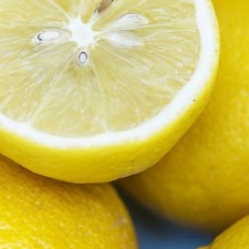 PIANTA DI FEMMINELLO