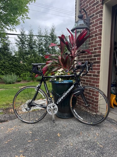2009 cannondale synapse carbon - cannondale,