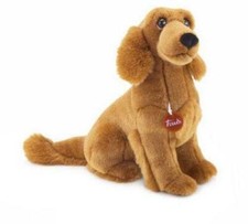 SETTER IRLANDESE NELSON CM.28
