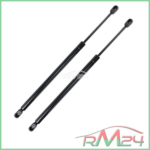 Ammortizzatore gas - 2x,