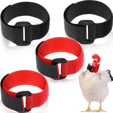 Xuniea 4 Collare per Gallo