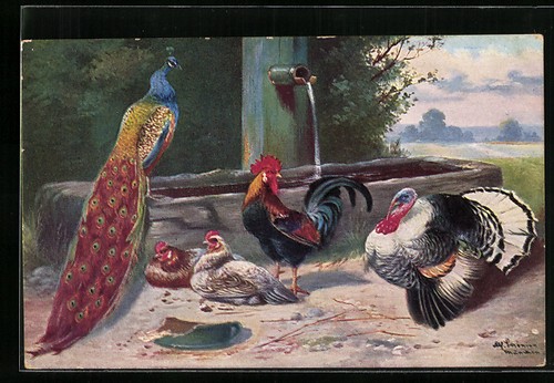 Cartolina artista alfred - cartolina,