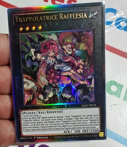 Trappolatrice rafflesia - trappolatrice,
