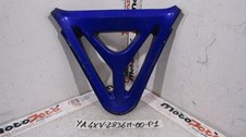 Carena puntale Tip fairing