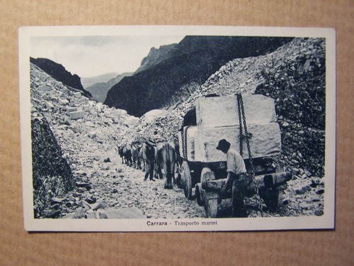 Carrara cartolina - -,