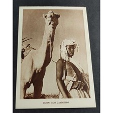 Cartolina Ist. Naz. Assicurazioni - Dubat con Cammello