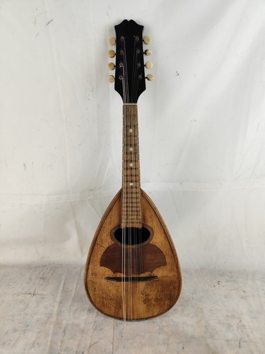 Mandolino gennaro e - 4/4,