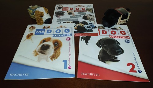 The dog collection - collection, peluche
