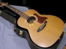 Takamine SANTA FE PSF-95 1995 (n.251029)