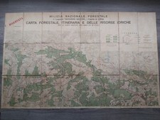 GRANDE CARTA GEOGRAFICA TELATA MILIZIA FORESTALE 1 LEGIONE COORTE UDINE 1935