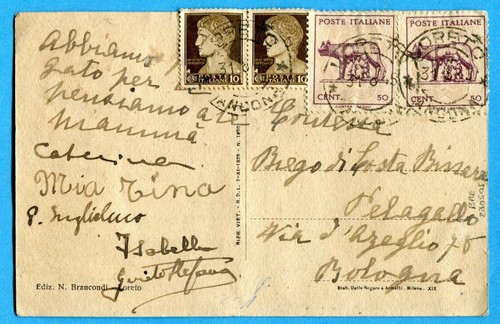 Lupa capitolina coppia - lupa,