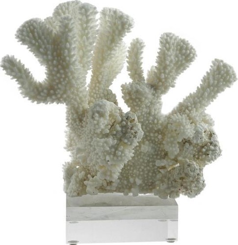 Scultura corallo cavolfiore - in,