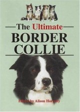 The Ultimate Border Collie