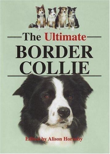 The ultimate border collie - ultimate,