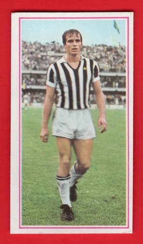 Figurina calciatori panini - figurina,