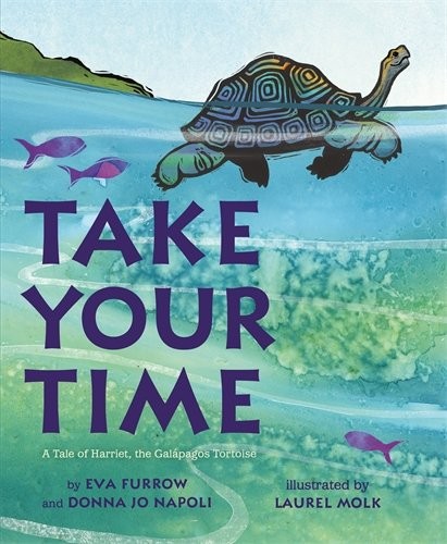 Take your time tale of - your,