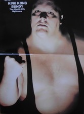 WWF WRESTLING FROM