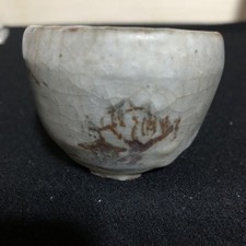 Mini Bonsai By tanzan