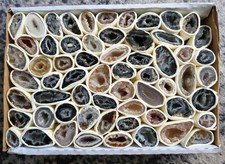 Vendita 61 scatole in agata