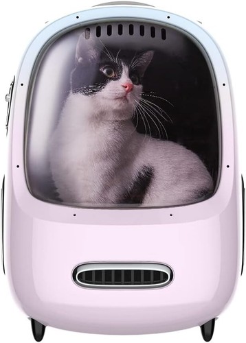 Petkit zaini viaggio per - da,