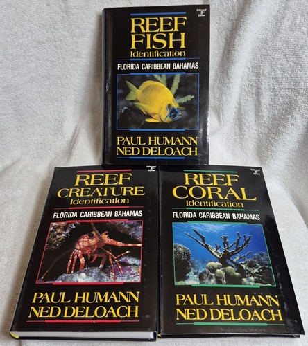 Reef set vol - &, 3rd