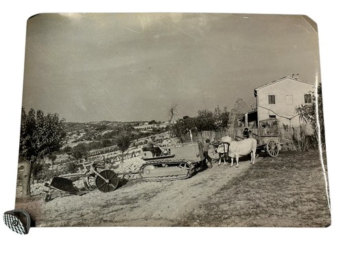Foto trattore cingolato - trattore,