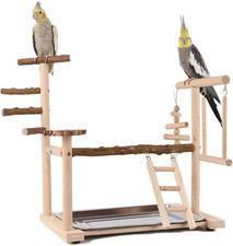 Parco giochi per pappagalli - parco,