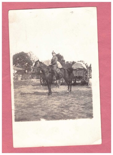 Foto cartolina cavaliere - , con